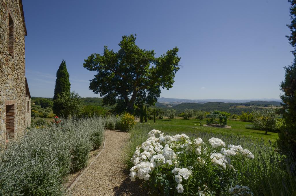 Podere Carceroni Cinigiano Esterno foto